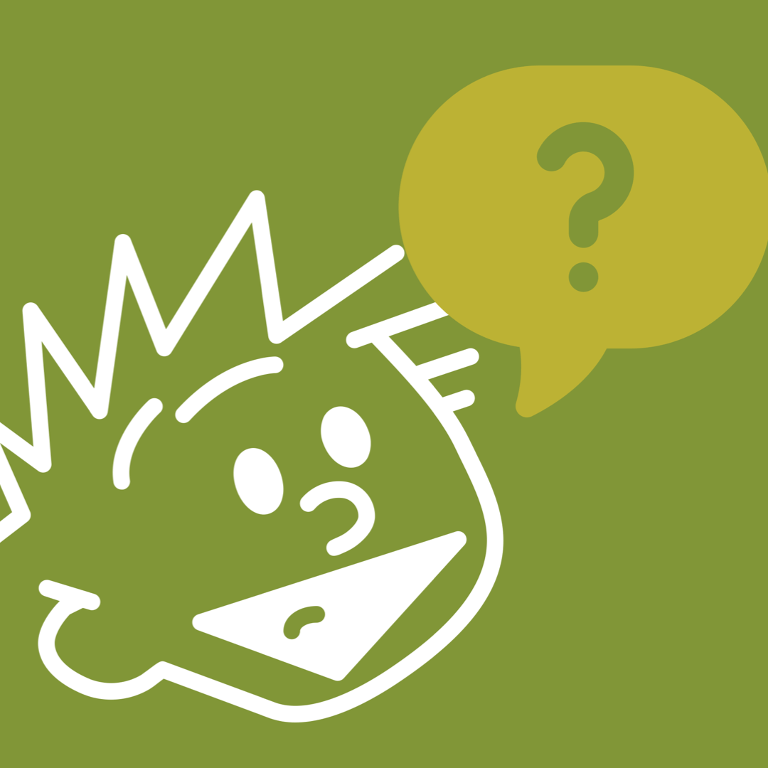 Image of Calvin asking a question 